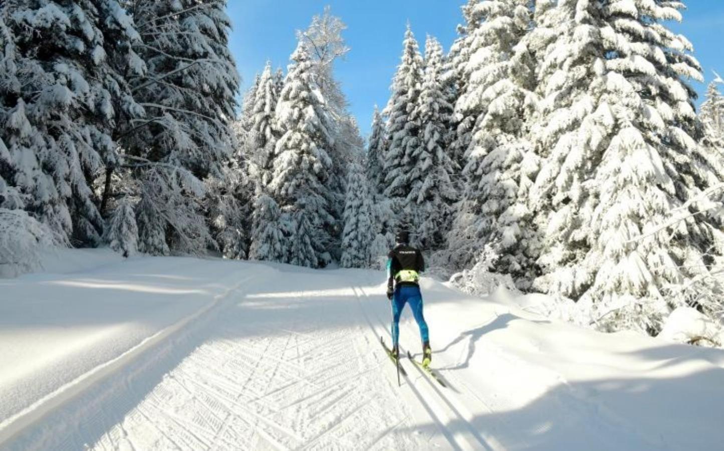 Villa 18.78, 10 Min De La Suisse Damprichard Eksteriør billede